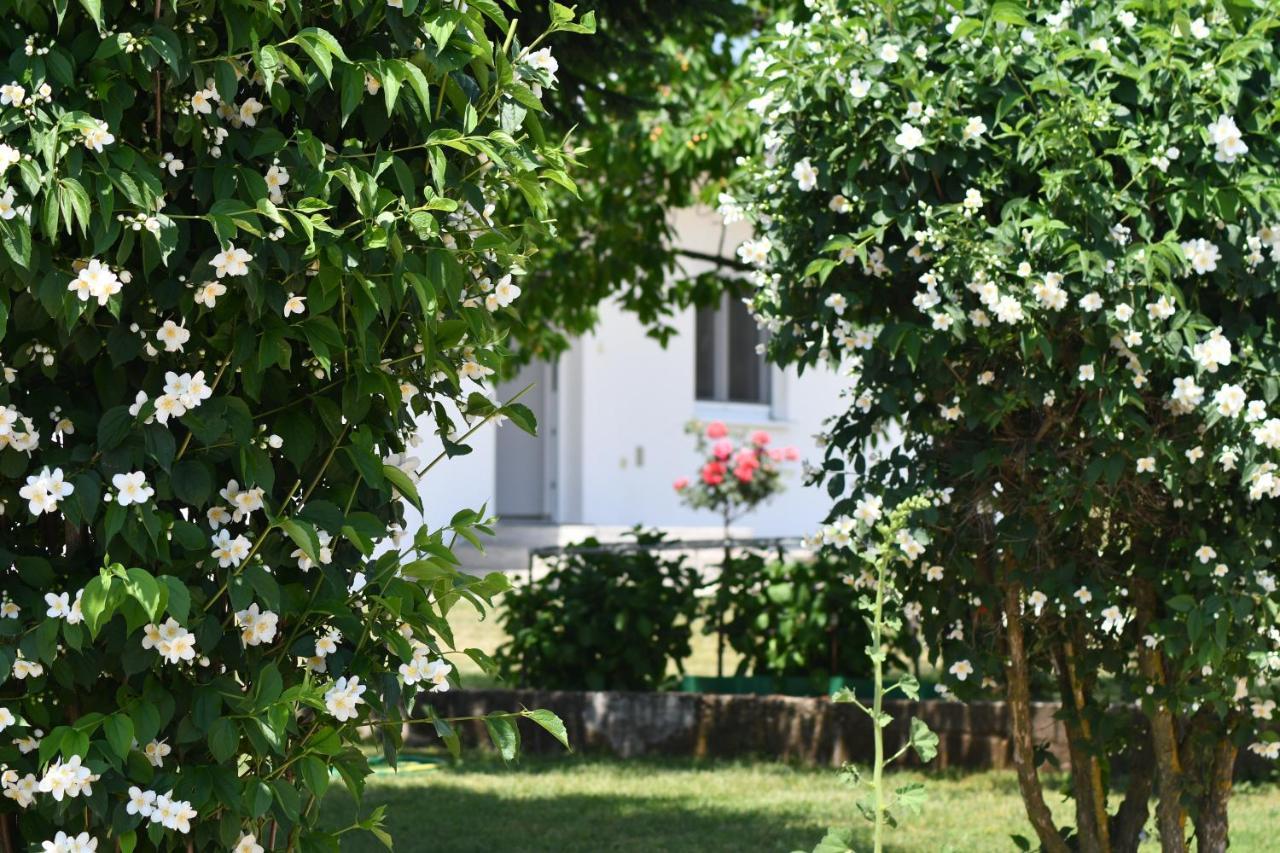 Casa Del Pellegrino M&A - Ostojici Hotel Medjugorje Ngoại thất bức ảnh