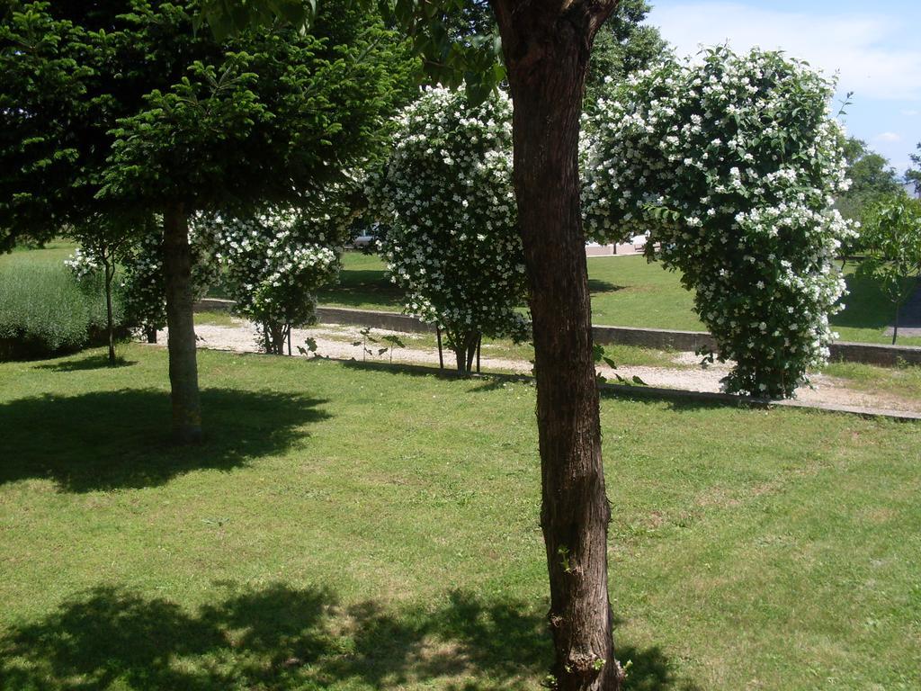 Casa Del Pellegrino M&A - Ostojici Hotel Medjugorje Ngoại thất bức ảnh
